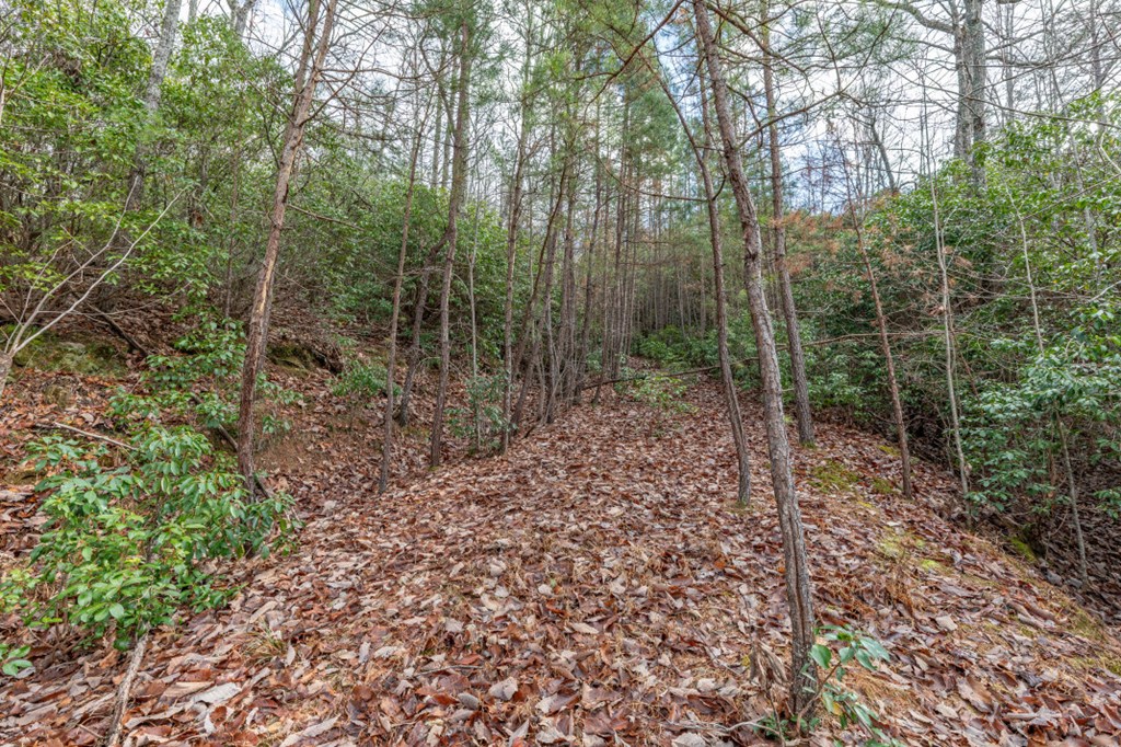 Lot 7 Squirrel Hunting Road Property Photo 33