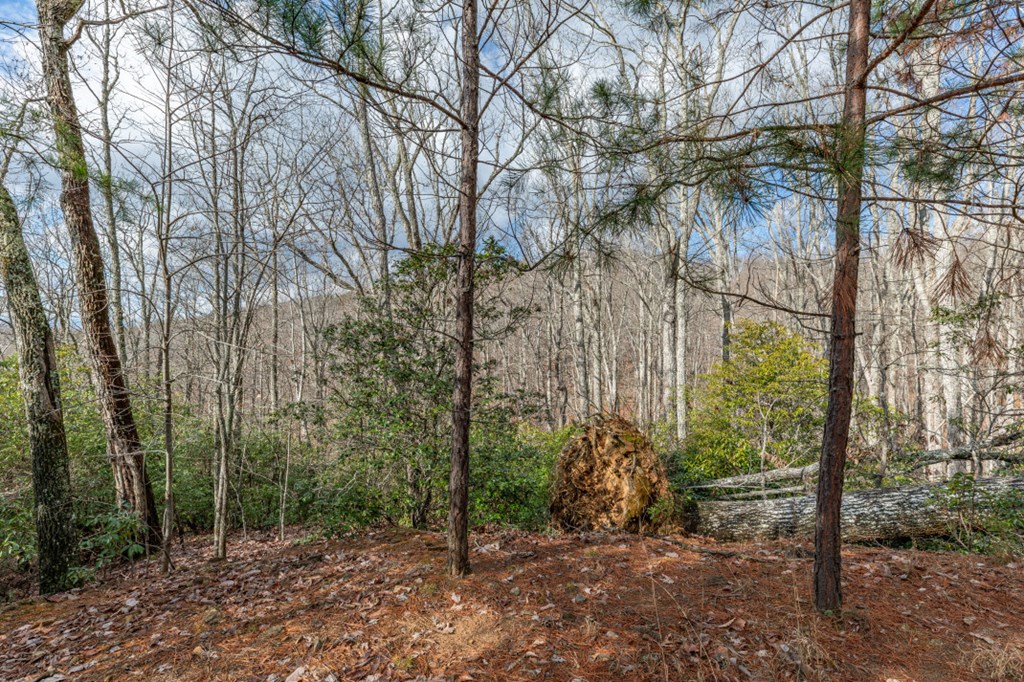 Lot 7 Squirrel Hunting Road Property Photo 34