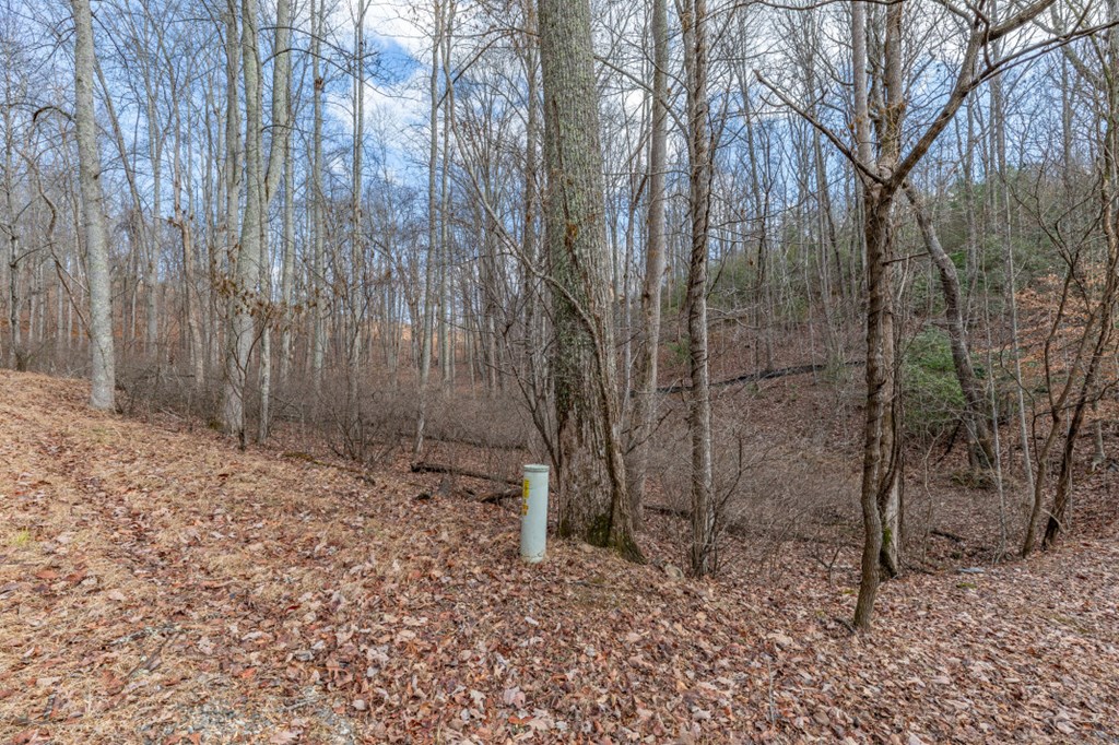 Lot 7 Squirrel Hunting Road Property Photo 35