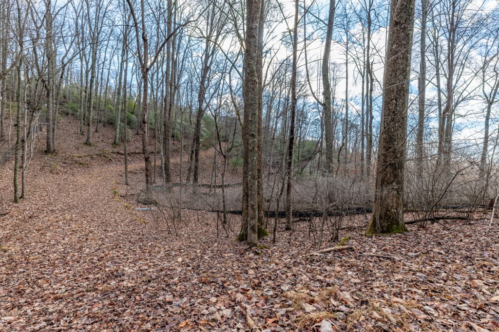Lot 7 Squirrel Hunting Road Property Photo 36