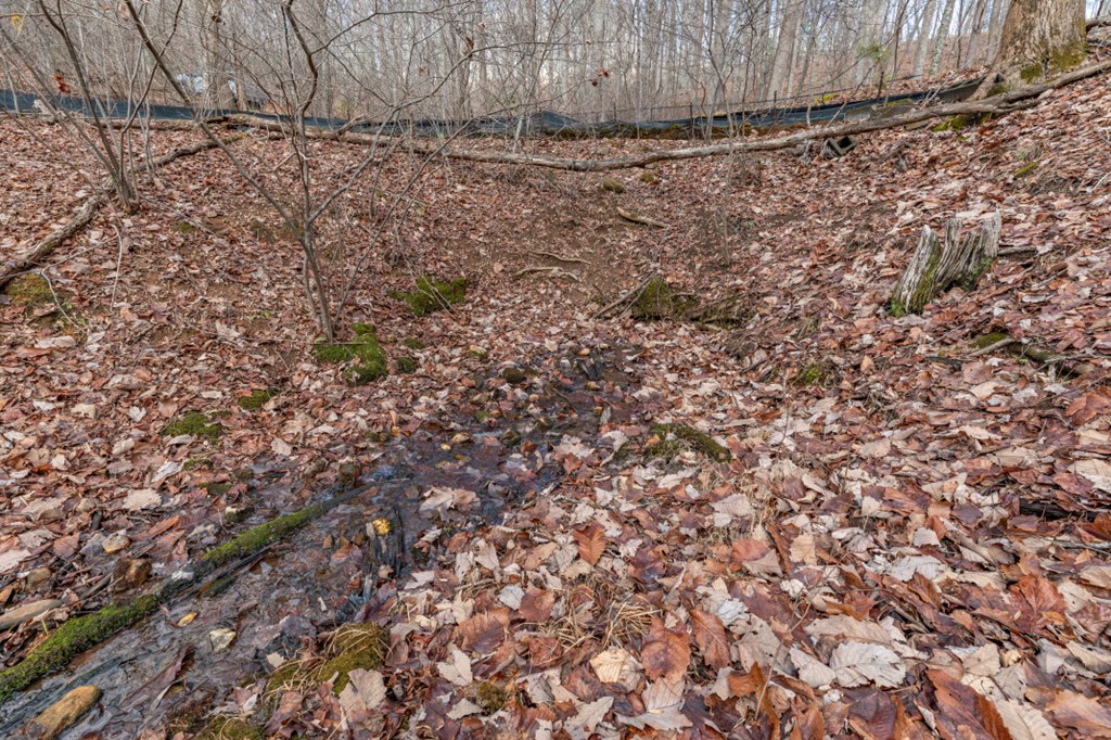 Lot 7 Squirrel Hunting Road Property Photo 37