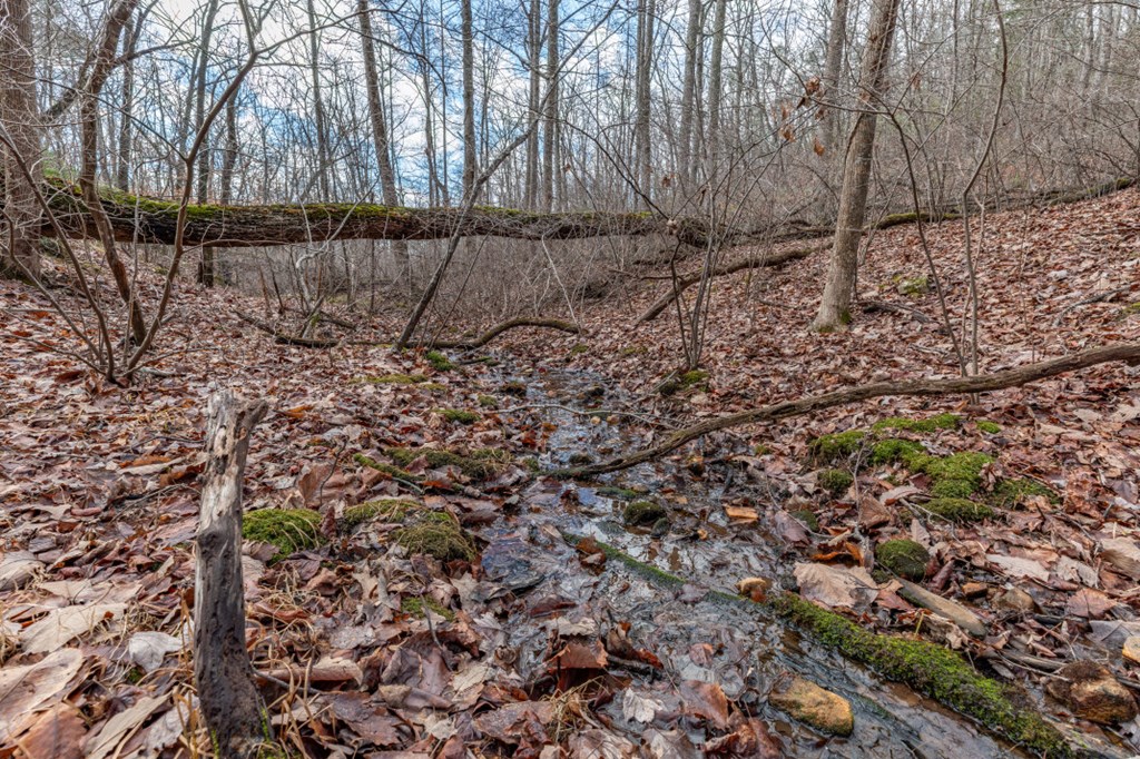 Lot 7 Squirrel Hunting Road Property Photo 38