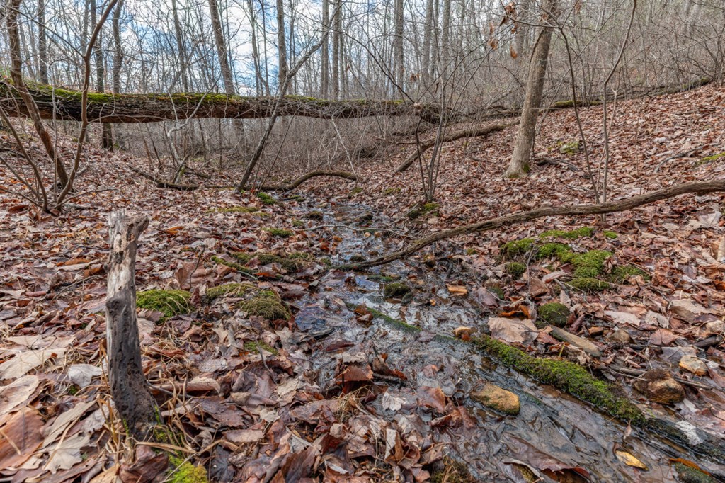Lot 7 Squirrel Hunting Road Property Photo 39