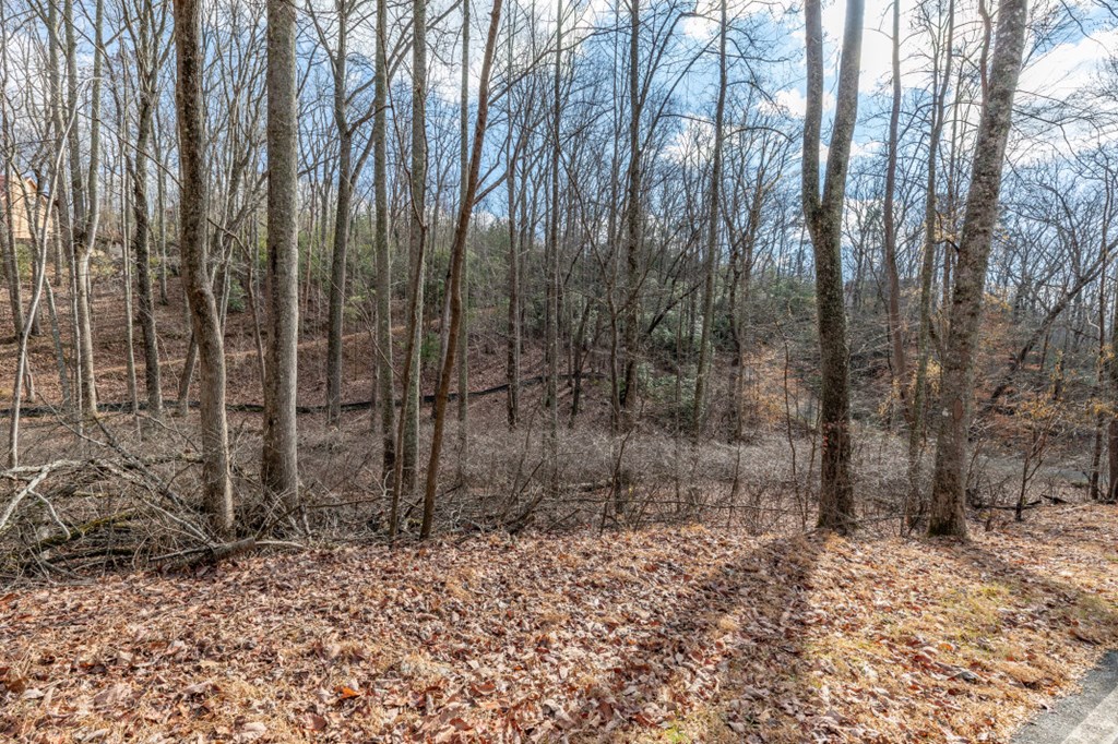 Lot 7 Squirrel Hunting Road Property Photo 40
