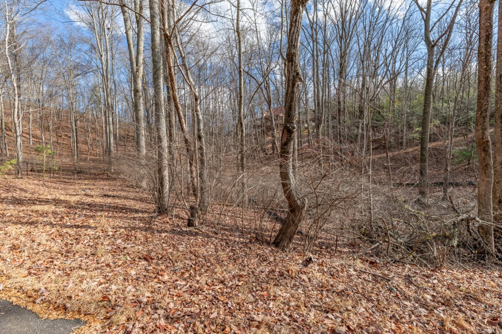 Lot 7 Squirrel Hunting Road Property Photo 41