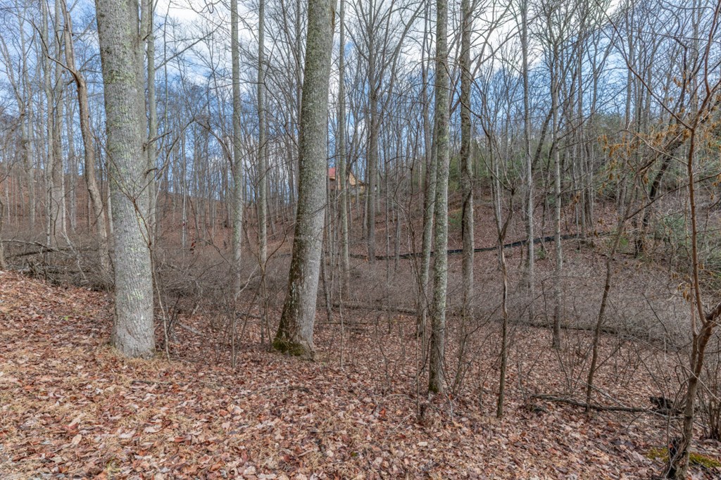 Lot 7 Squirrel Hunting Road Property Photo 42