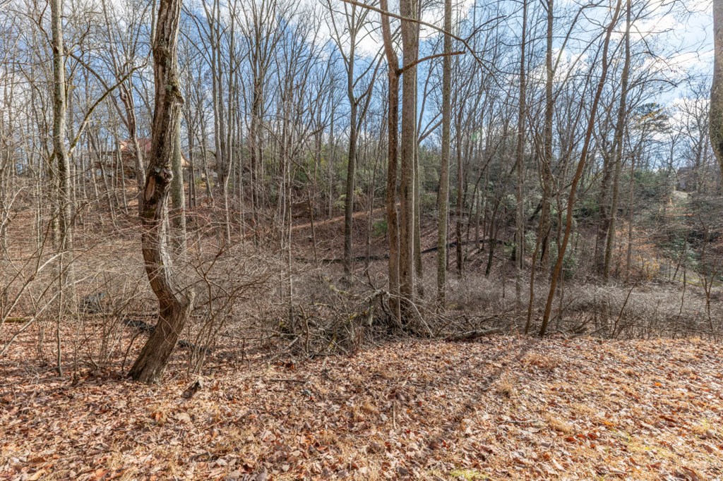 Lot 7 Squirrel Hunting Road Property Photo 43