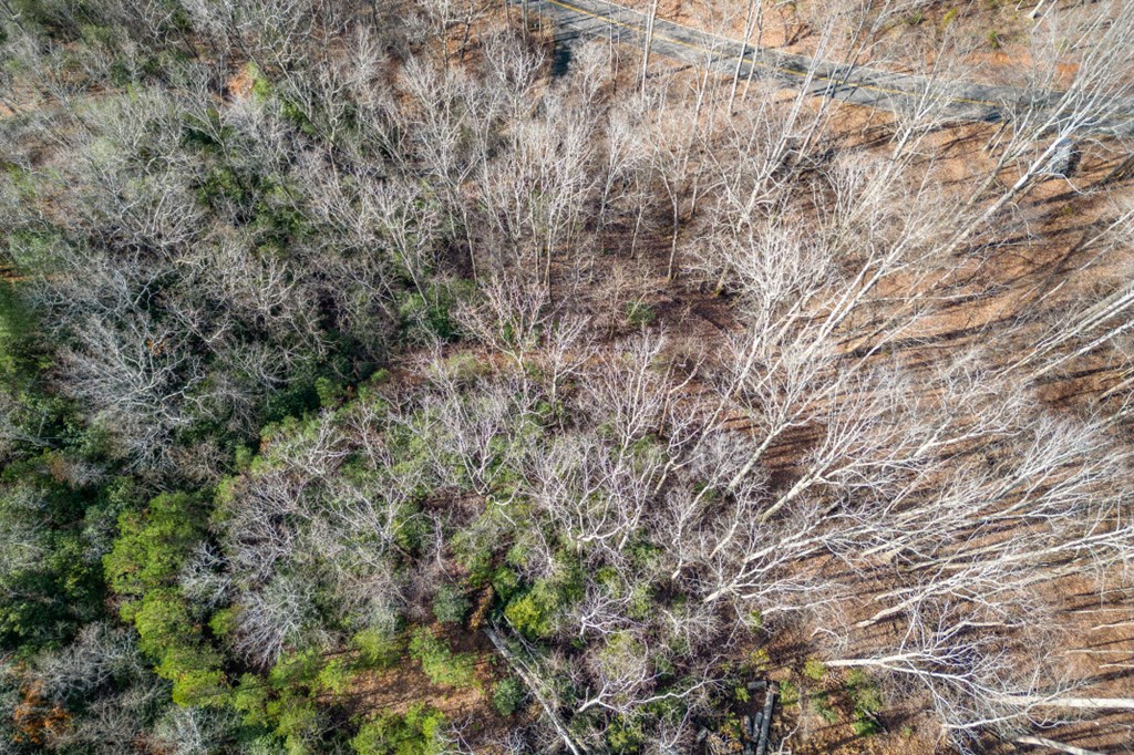 Lot 7 Squirrel Hunting Road Property Photo 45