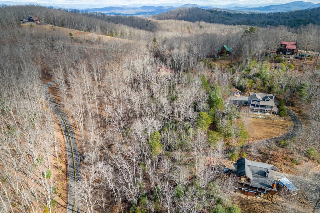 Lot 7 Squirrel Hunting Road Property Photo 46