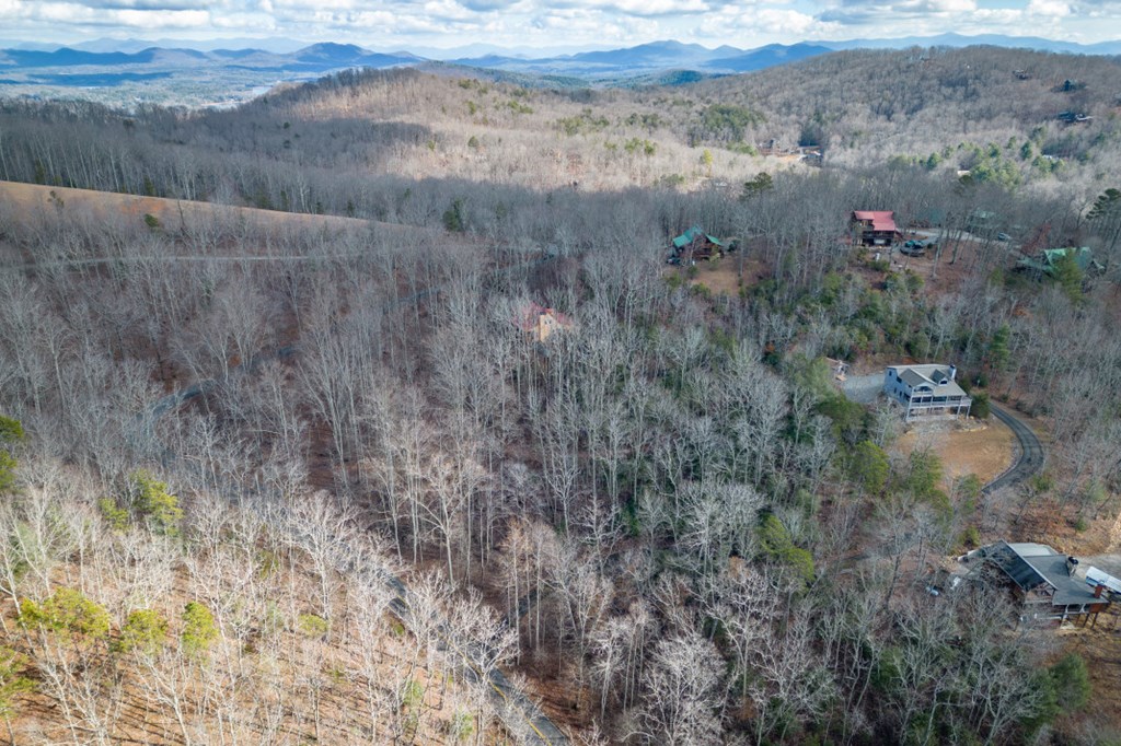 Lot 7 Squirrel Hunting Road Property Photo 47