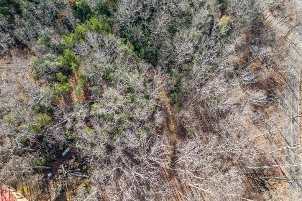 Lot 7 Squirrel Hunting Road Property Photo 48