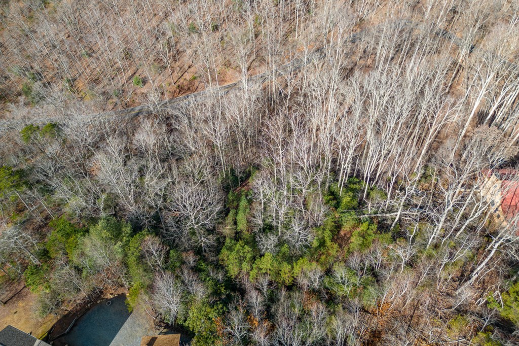 Lot 7 Squirrel Hunting Road Property Photo 49