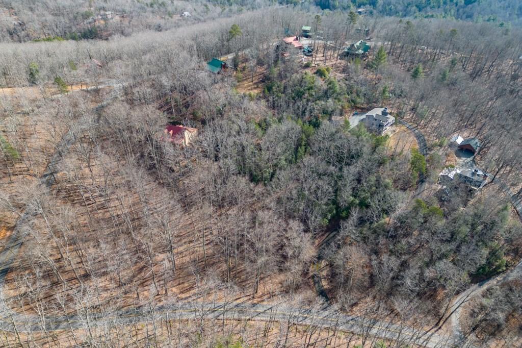 Lot 7 Squirrel Hunting Road Property Photo 50