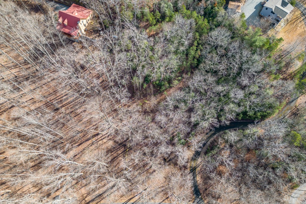 Lot 7 Squirrel Hunting Road Property Photo 51