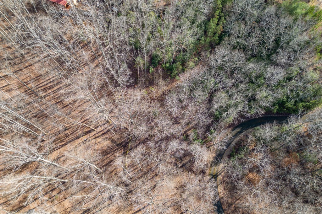 Lot 7 Squirrel Hunting Road Property Photo 52
