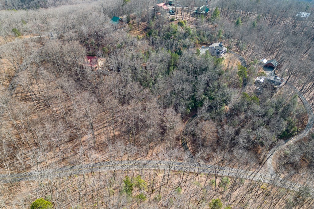 Lot 7 Squirrel Hunting Road Property Photo 53