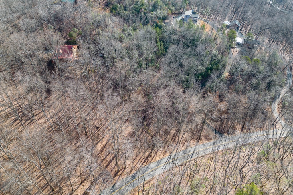 Lot 7 Squirrel Hunting Road Property Photo 54