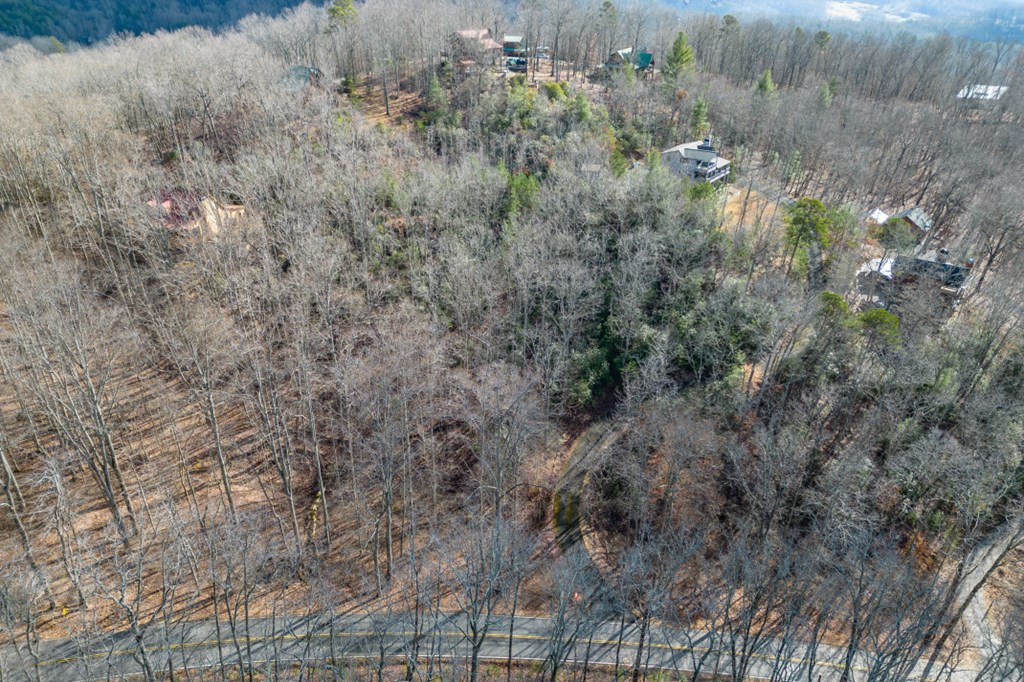 Lot 7 Squirrel Hunting Road Property Photo 55