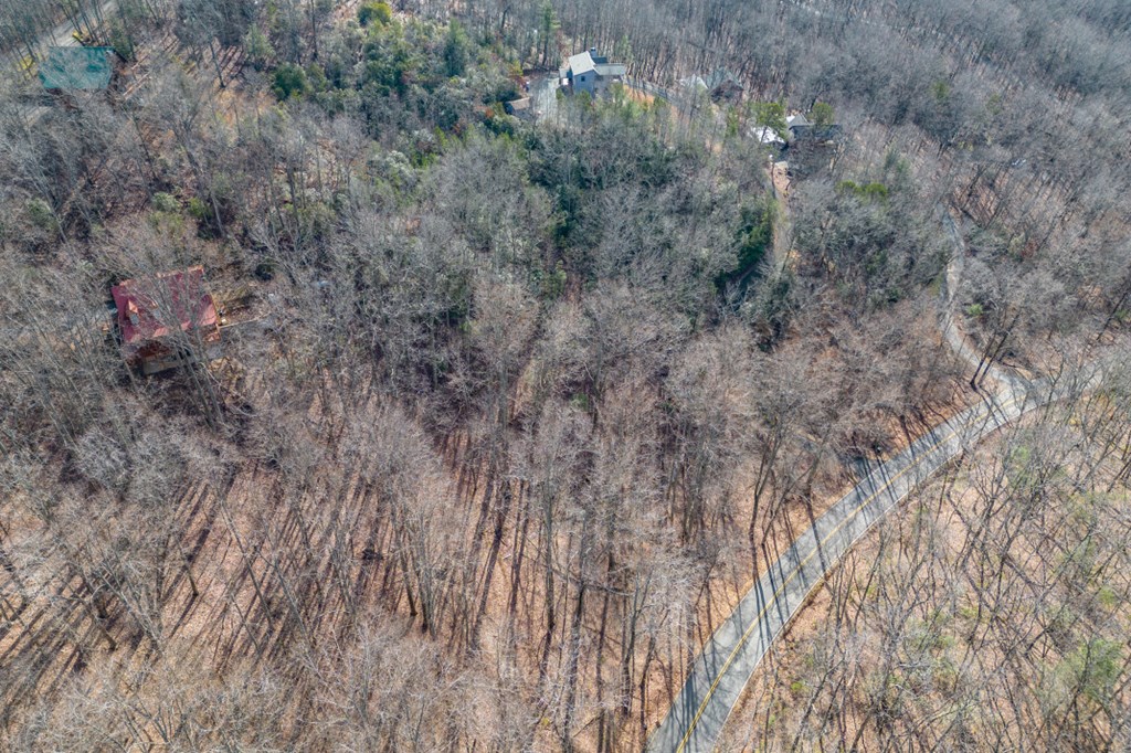 Lot 7 Squirrel Hunting Road Property Photo 56