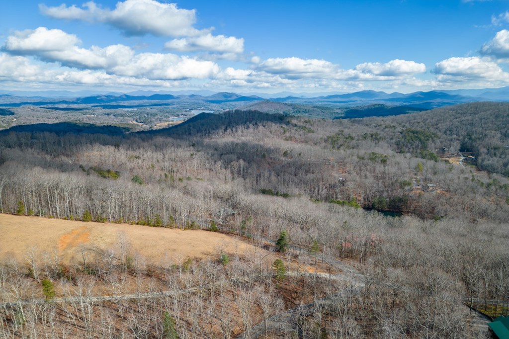 Lot 7 Squirrel Hunting Road Property Photo 58