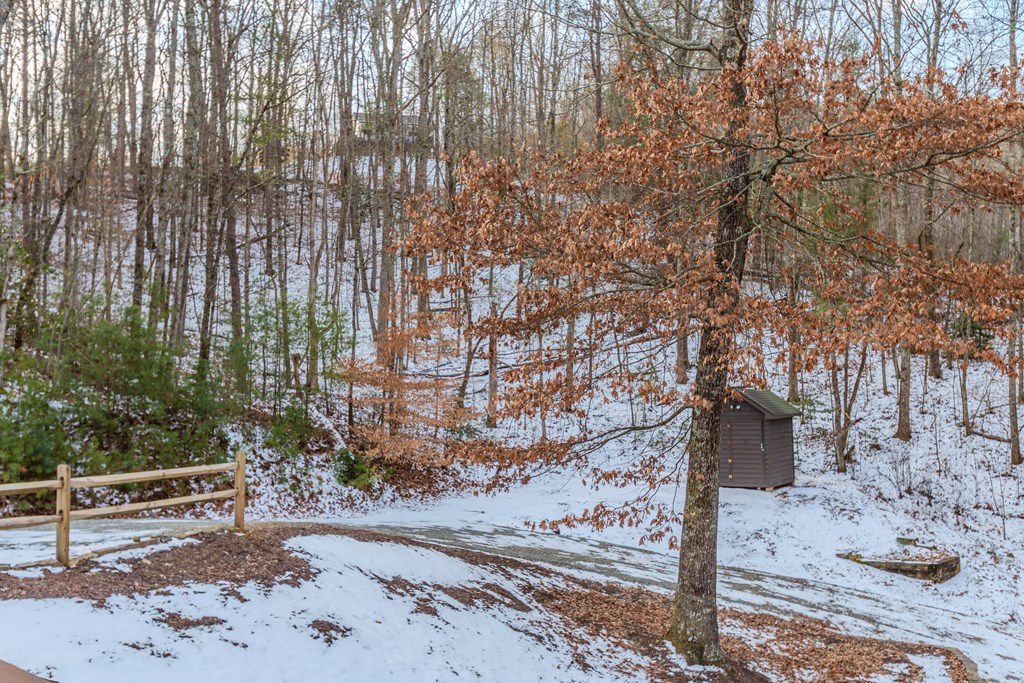 57 Timber Ridge Road Property Photo 38