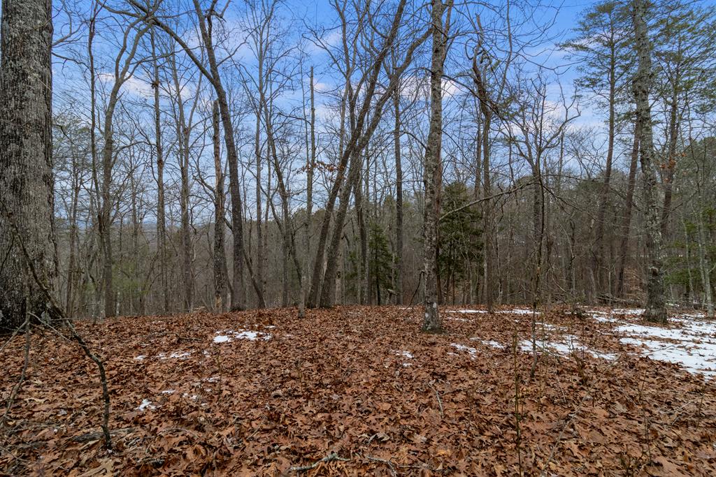 Tr4 Curtis Ridge Road Property Photo 1