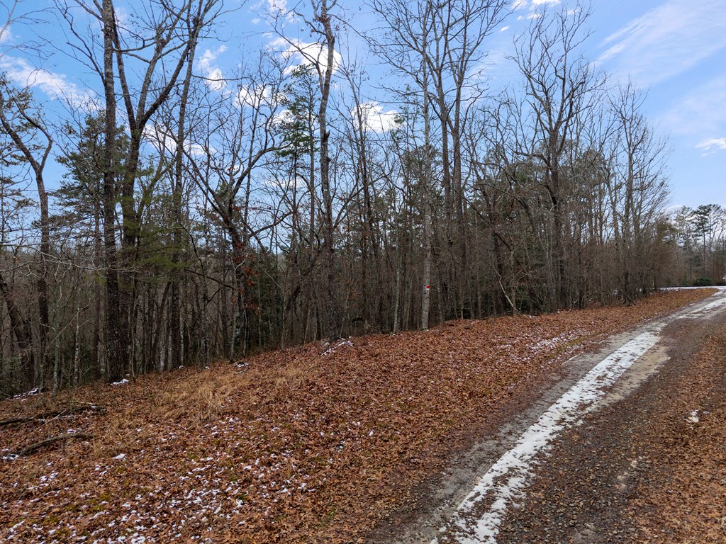 Tr4 Curtis Ridge Road Property Photo 2
