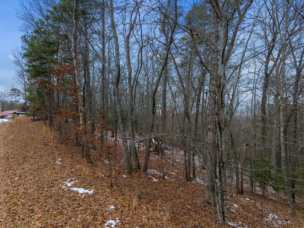 Tr4 Curtis Ridge Road Property Photo 3
