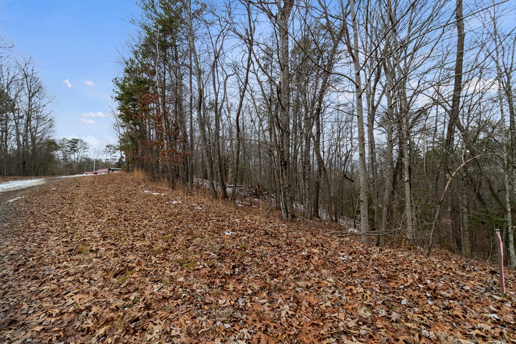 Tr4 Curtis Ridge Road Property Photo 4