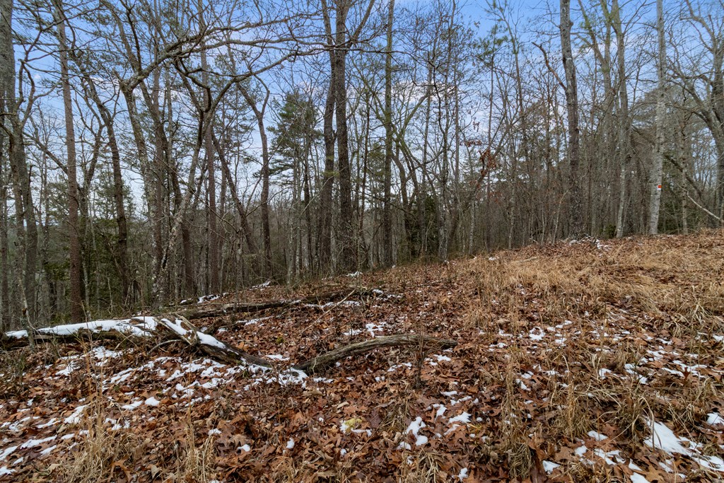 Tr4 Curtis Ridge Road Property Photo 5