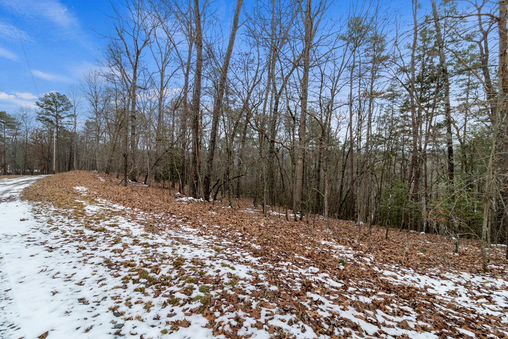 Tr4 Curtis Ridge Road Property Photo 7