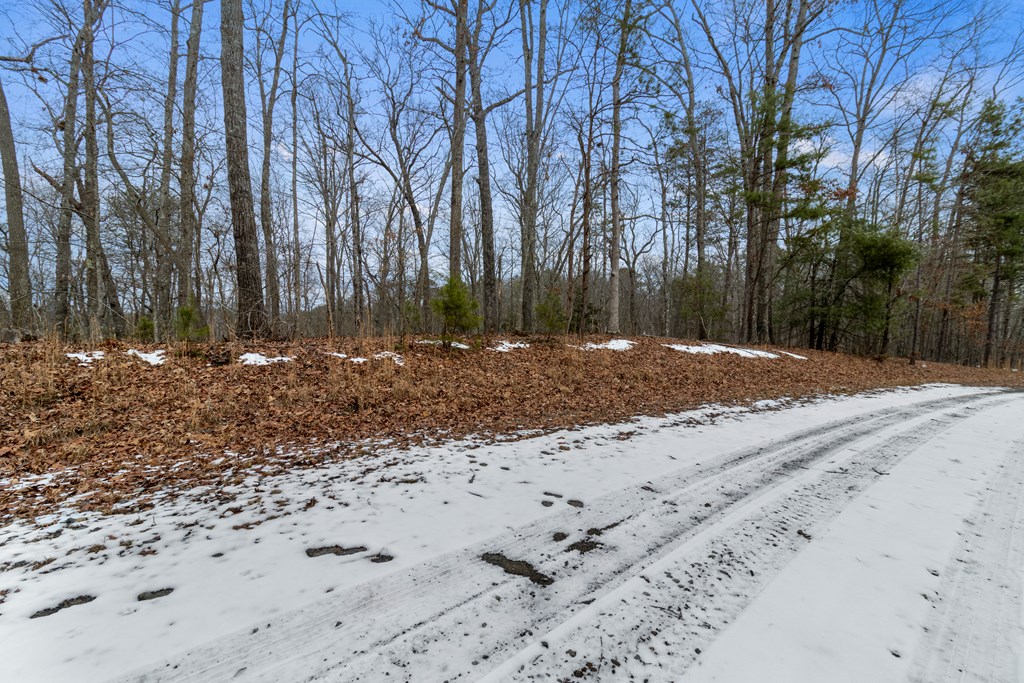 Tr4 Curtis Ridge Road Property Photo 8