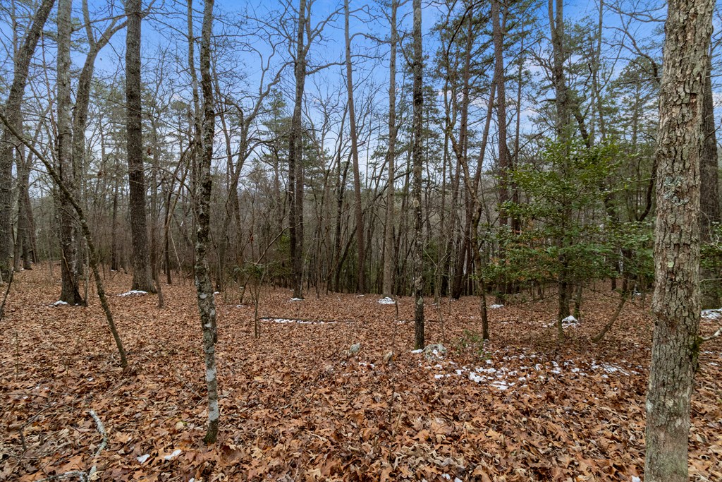 Tr4 Curtis Ridge Road Property Photo 9