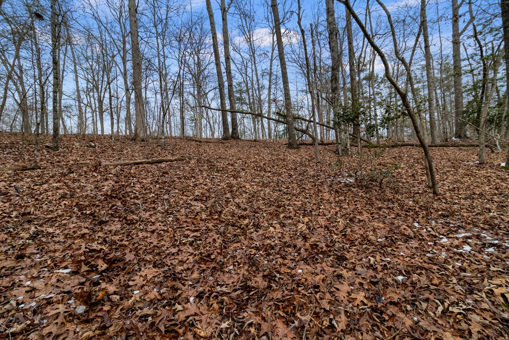 Tr4 Curtis Ridge Road Property Photo 10