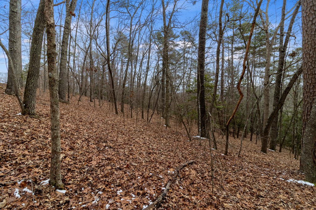 Tr4 Curtis Ridge Road Property Photo 11