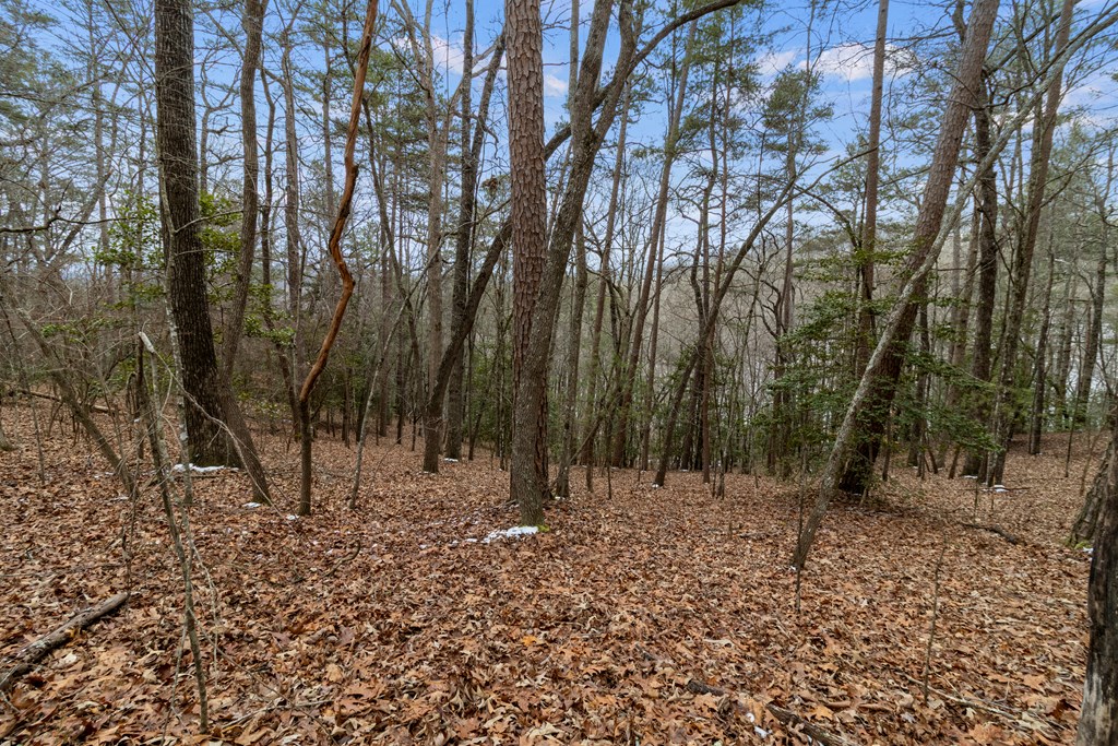 Tr4 Curtis Ridge Road Property Photo 12