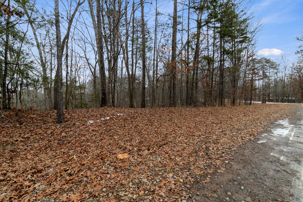 Tr4 Curtis Ridge Road Property Photo 14