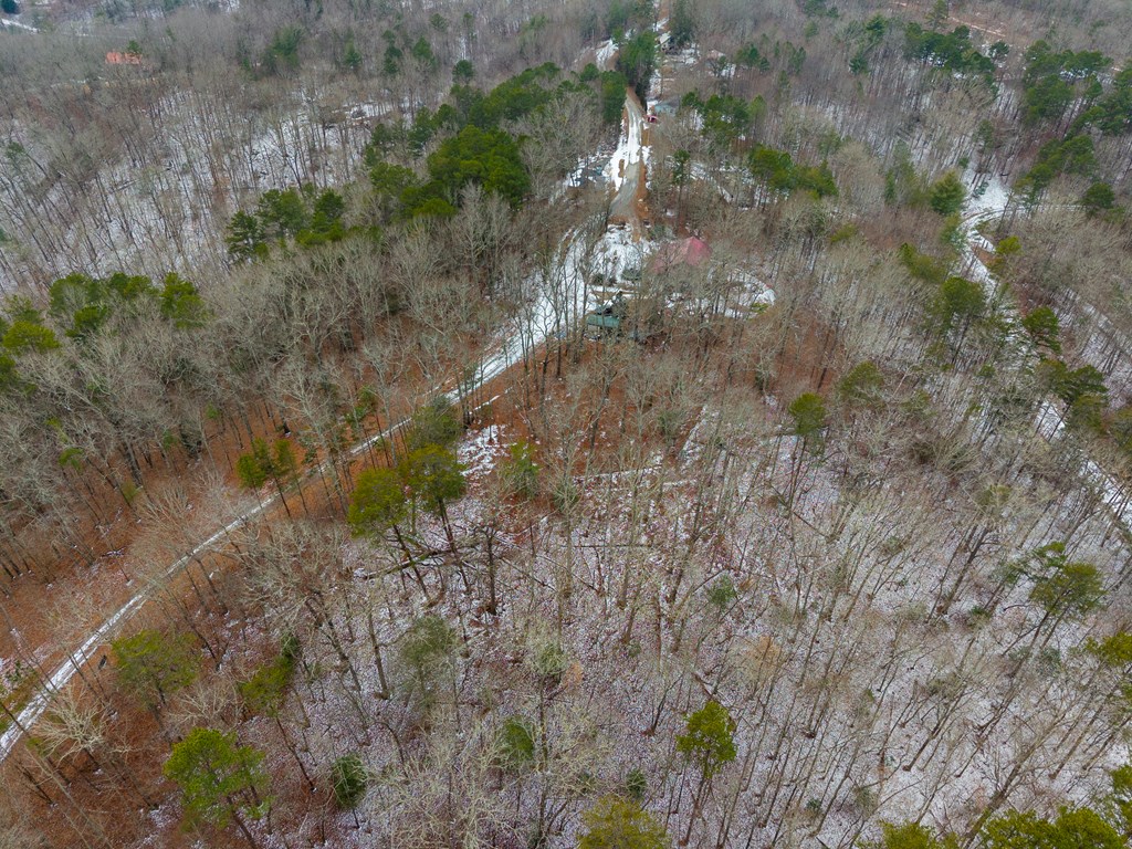 Tr4 Curtis Ridge Road Property Photo 15