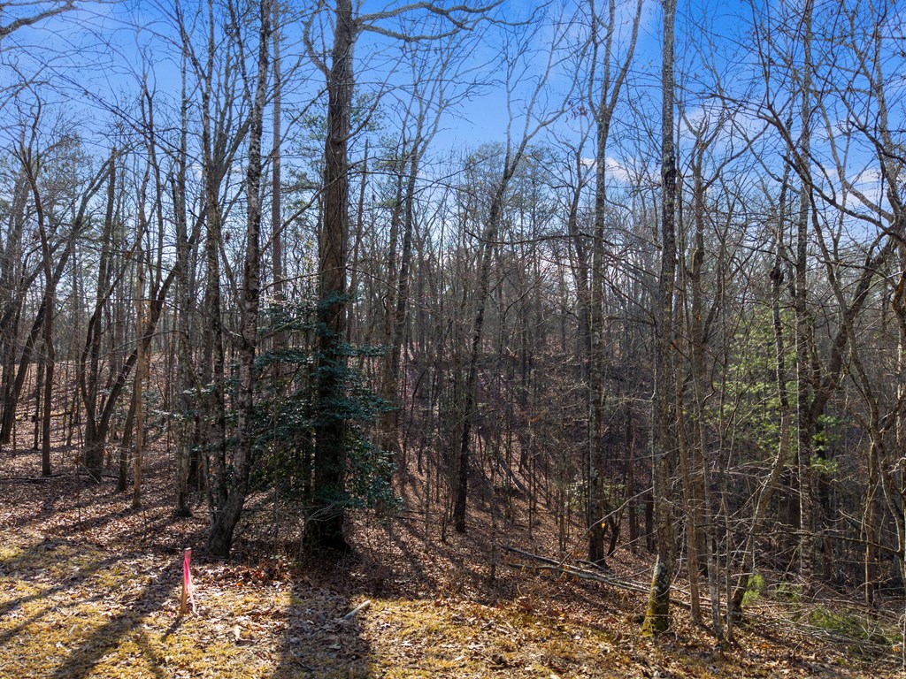 56 Robins Ridge Property Photo 45
