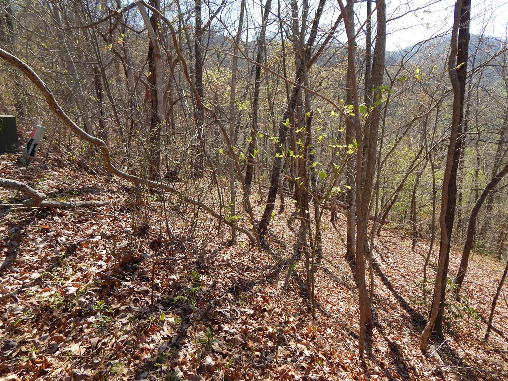#13 & 14 Burnt Leaf Lane Property Photo 11