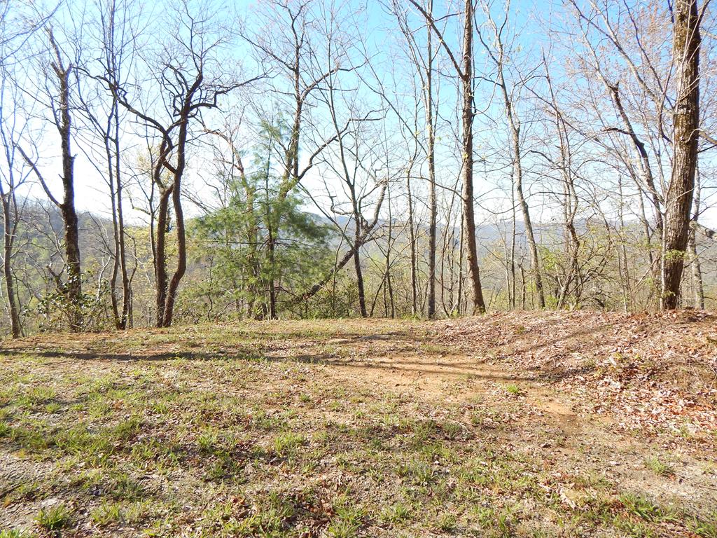 8-2-10-2 Tree Top Drive Property Photo 1