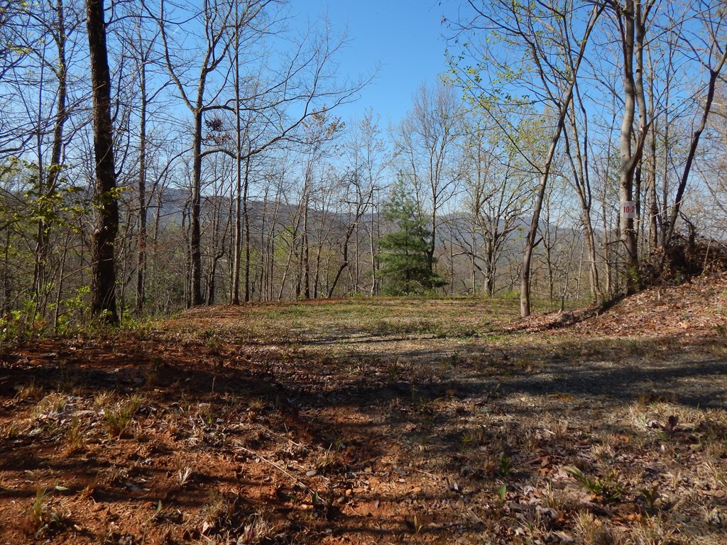 8-2-10-2 Tree Top Drive Property Photo 4