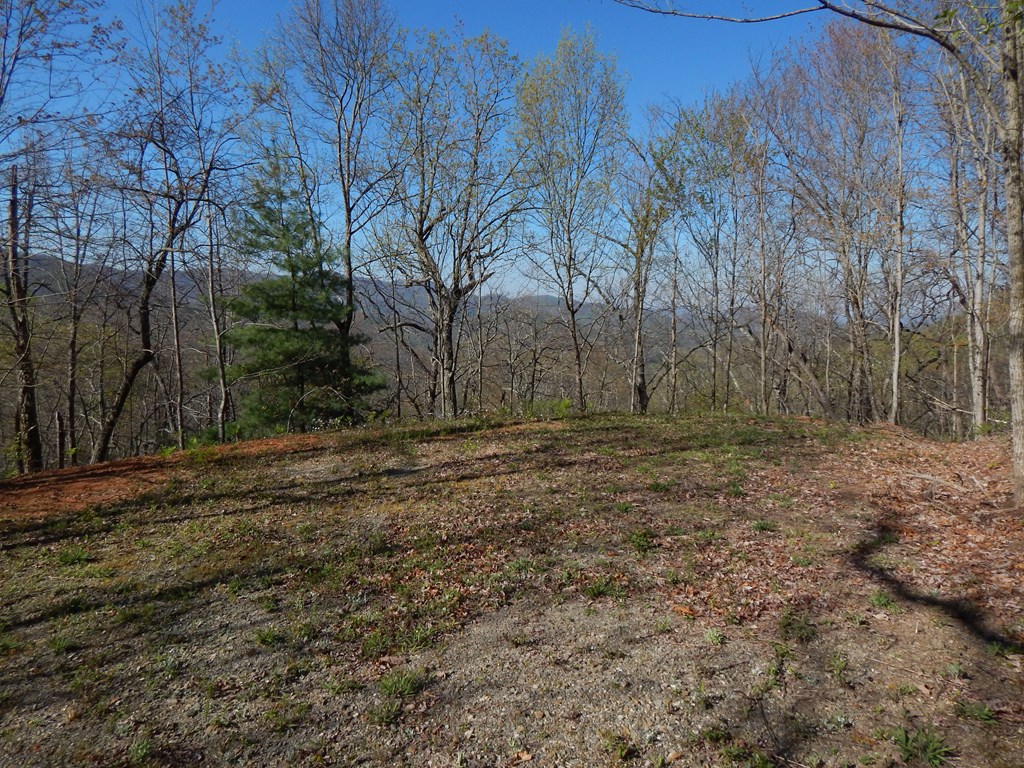 8-2-10-2 Tree Top Drive Property Photo 5