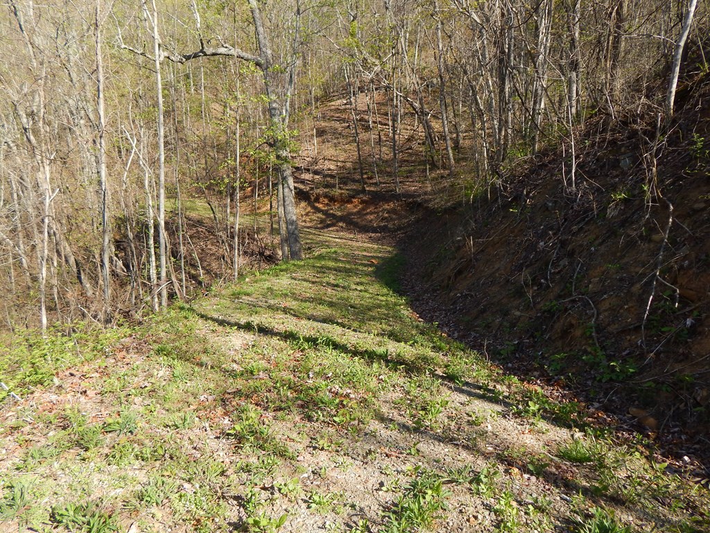 8-2-10-2 Tree Top Drive Property Photo 6