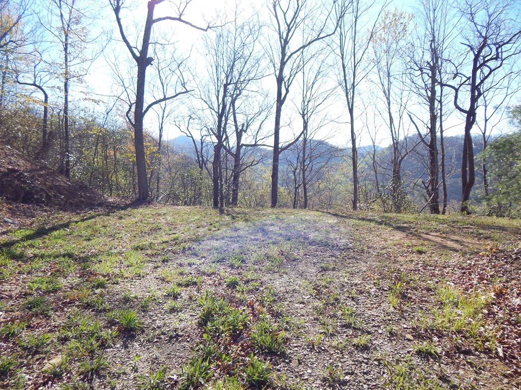 8-2-10-2 Tree Top Drive Property Photo 10