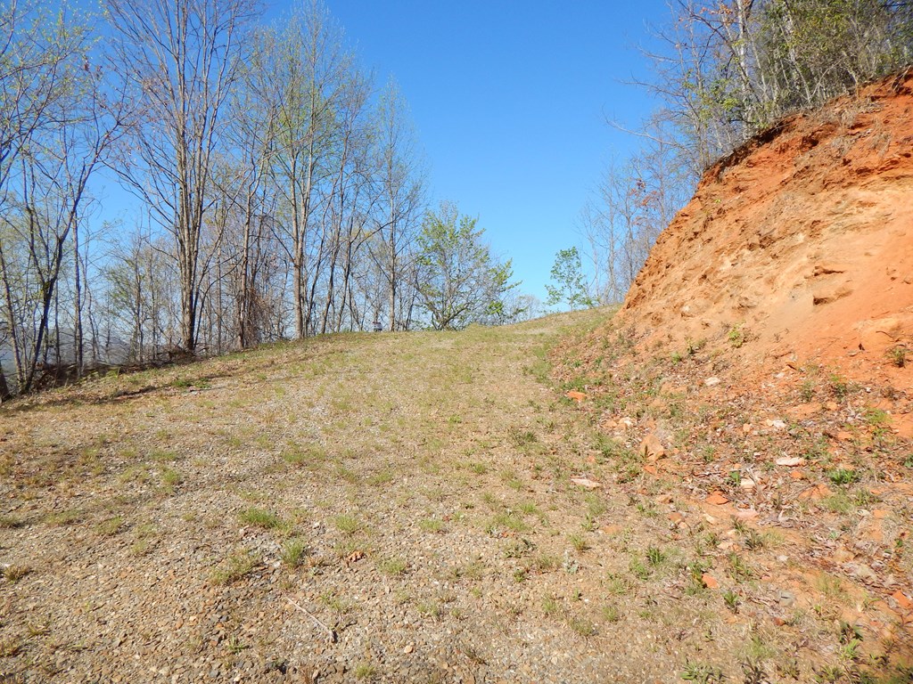 8-2-10-2 Tree Top Drive Property Photo 12