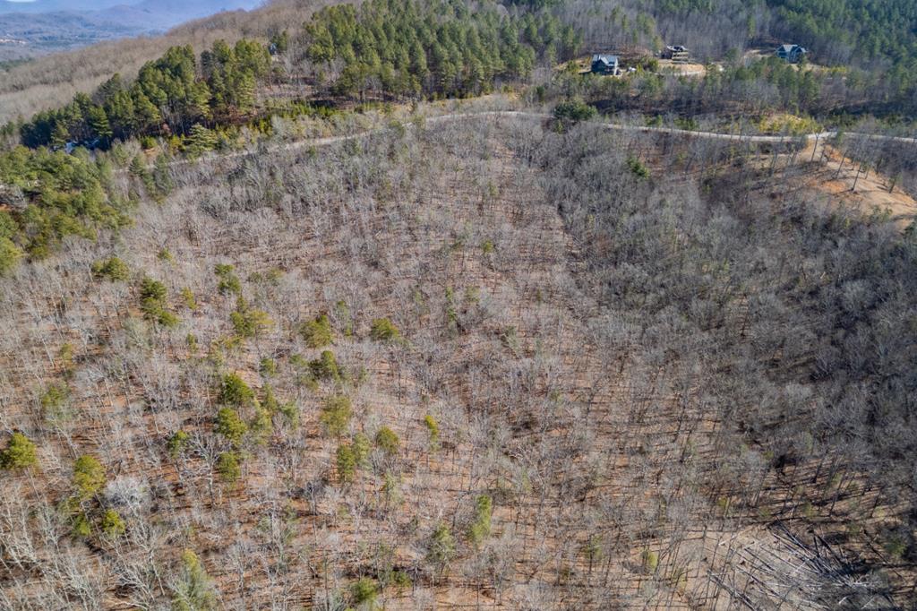 Lot 370 Thirteen Hundred Property Photo 1