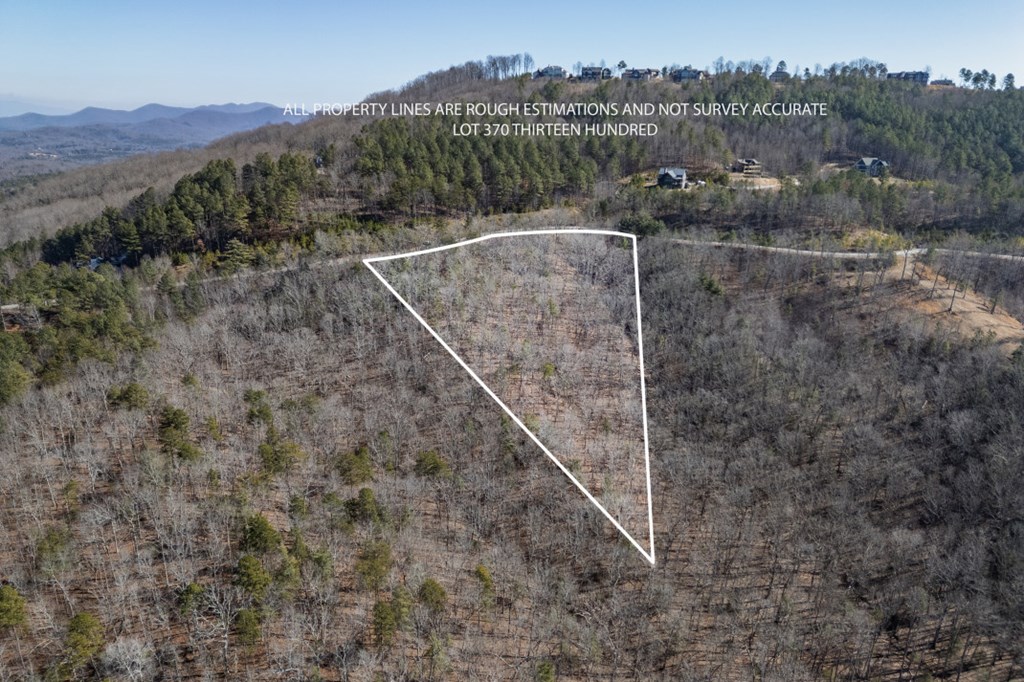 Lot 370 Thirteen Hundred Property Photo 2