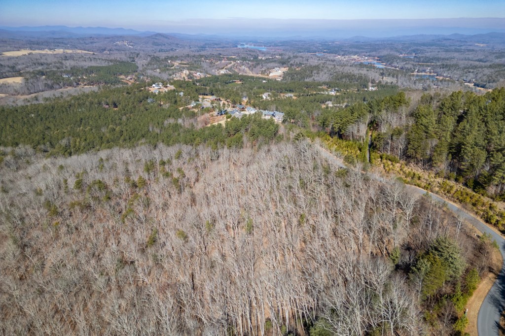 Lot 370 Thirteen Hundred Property Photo 4