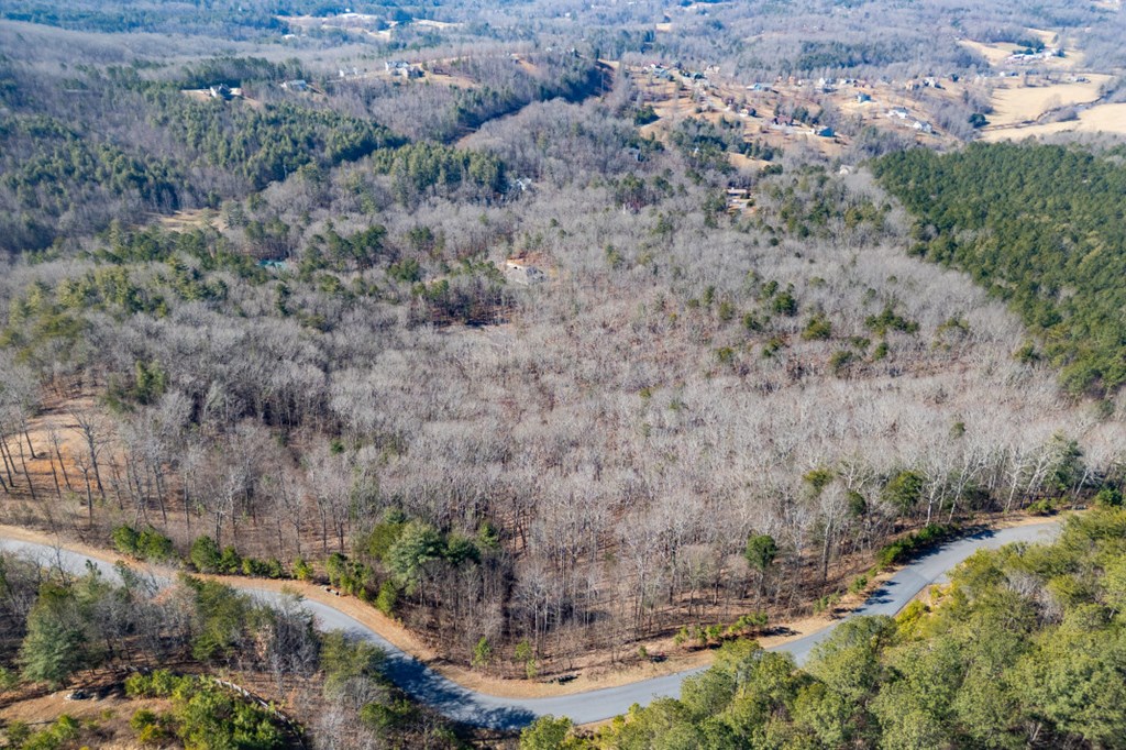 Lot 370 Thirteen Hundred Property Photo 6